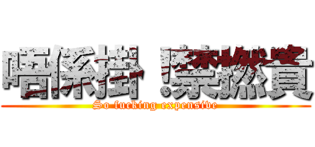 唔係掛！禁撚貴 (So fucking expensive)