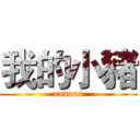 我的小豬 (aaaaas)