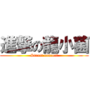 進撃の龍小菌 (Street concert)