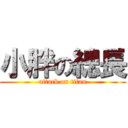 小胖の總長 (attack on titan)