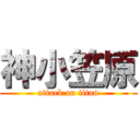 神小笠原 (attack on titan)