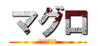 マグロ (ご期待下さい)