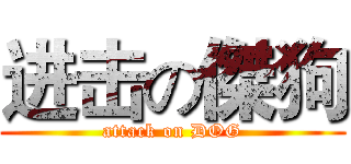 进击の傑狗 (attack on DOG)