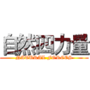 自然四力量 (NATURAL FORCES)