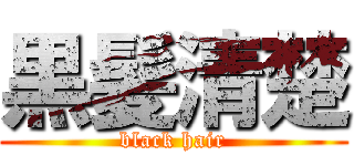 黒髪清楚 (black hair)