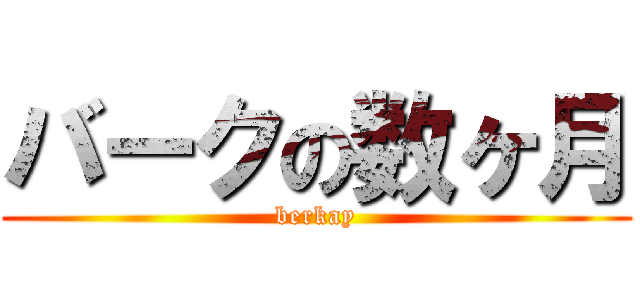 バークの数ヶ月 (berkay)
