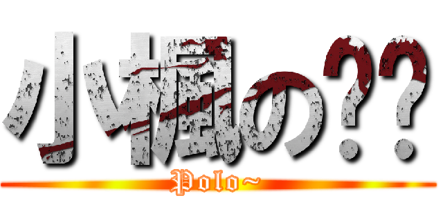 小楓の貓咪 (Polo~)