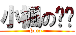 小楓の貓咪 (Polo~)