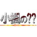 小楓の貓咪 (Polo~)