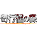 奇行種の森 (Eccentrispeciesc  on Mori)