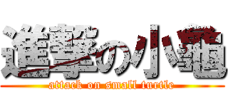 進撃の小龜 (attack on small turtle)