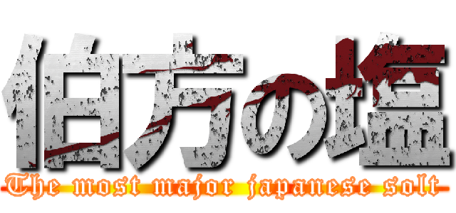 伯方の塩 (The most major japanese solt)