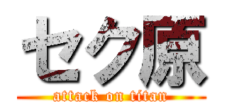 セク原 (attack on titan)