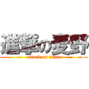 進撃の麦野 (attack on titan)