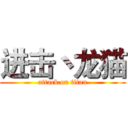 进击丶龙猫 (attack on titan)