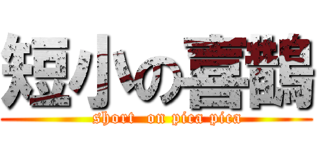 短小の喜鵲 (    short  on pica pica)