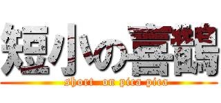 短小の喜鵲 (    short  on pica pica)