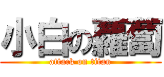 小白の蘿蔔 (attack on titan)
