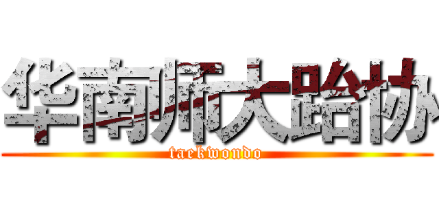 华南师大跆协 (taekwondo)