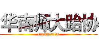 华南师大跆协 (taekwondo)