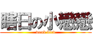 瞎日の小戀戀 (weak bird)