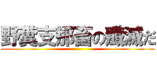 野糞支那畜の殲滅だ ()