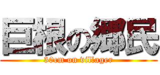 巨根の郷民 (30cm on villager)