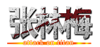 张林梅 (attack on titan)
