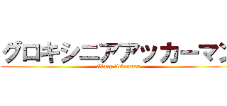 グロキシニアアッカーマン (Gloxy Ackerman)