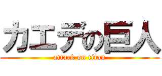 カエデの巨人 (attack on titan)