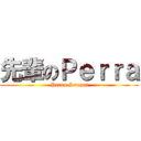 先輩のＰｅｒｒａ (Perra Sempai)
