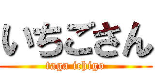 いちごさん (taga ichigo)