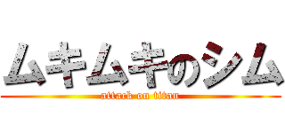 ムキムキのシム (attack on titan)