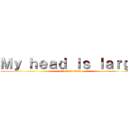 Ｍｙ ｈｅａｄ ｉｓ ｌａｒｇｅ (attack on titan)