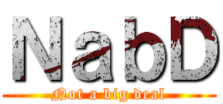 ＮａｂＤ (Not a big deal)