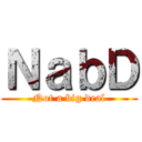 ＮａｂＤ (Not a big deal)