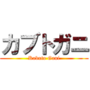 カブトガニ (Kabuto Gani)