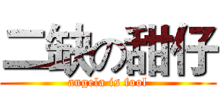 二缺の甜仔 (angela is fool)