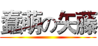 蠢萌の矢藤 ()
