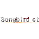 Ｓｏｎｇｂｉｒｄ ｃｔ (The Kitty)