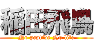 稲田飛鳥 (No peptide No life)