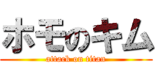 ホモのキム (attack on titan)