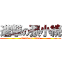 進撃の張小続 (attack on titan)