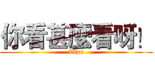 你看甚麼看呀！ (What)