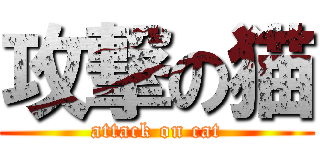 攻撃の猫 (attack on cat)