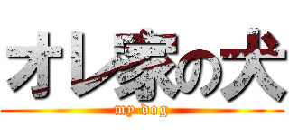 オレ家の犬 (my dog)