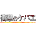 衝撃のケバエ (巨大ミミズ＆コカマキリも)