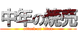 中年の焼売 (attack on titan)