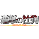 進撃の杜狗 (attack on dog)