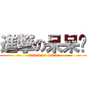 進撃の呆呆喵 (attack on titan)